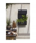 Planta Plant Wall Lamp Black 70 x 40 cm