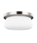 Vintner 2 Light Flush Mount IP44