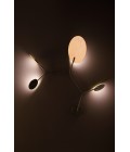 Ballon C Wall Lamp Black/White/Oak/Walnut 74cm