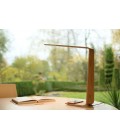 Led8 (QI) Desk Lamp Oak/Walnut/Birch 54.5cm