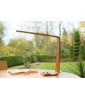 Led8 (QI) Desk Lamp Oak/Walnut/Birch 54.5cm