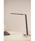 Swan (QI) Desk Lamp Oak/Walnut 55cm