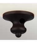 Parkman 2 light plafond oil rubbed bronze 33cm